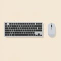 Gray keyboard with black keys and a white mouse on a light beige background. The Royalty Free Stock Photo