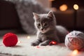 Gray kitten with balls of yarn and red garland lights on the floor