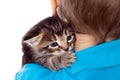 Gray kitten on boy's shoulder Royalty Free Stock Photo