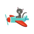 Gray kitten with cute muzzle flying on colorful airplanes. Cartoon domestic animal character. Flat vector design for Royalty Free Stock Photo