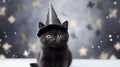 Cat in a shiny cap. Kitten celebrates New Year or Christmas