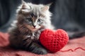 Gray Kitten with Red Knitted Heart