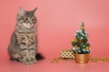 Gray kitten sits next to Christmas accessories Royalty Free Stock Photo