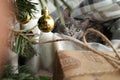 Gray kitten under the Christmas tree