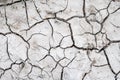 Gray land background cracked during drought with a small amount of dry grass Royalty Free Stock Photo