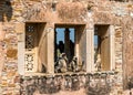 Gray langur monkeys on ruins of Gora Badal Palace at Chittorgarh Fort - Rajasthan, India