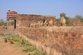 Gray langurs (Semnopithecus dussumieri) sitting at Ranthambore F Royalty Free Stock Photo