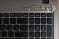 Gray laptop with black keyboard decorated with dried wildflower