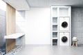 Gray laundry room, sink, washing machine side