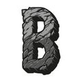 Gray letter B desert design concept