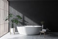 Gray and light wood bathroom interior with tub Royalty Free Stock Photo