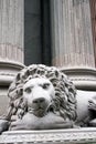 Gray Lion Statue Face