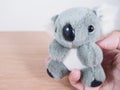 Gray lovely Koala bear doll in palm