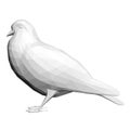 Gray low poly pigeon isolated on white background. 3D. Vector illustration