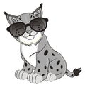 Gray lynx in sunglasses