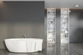 Gray and marble bathroom interior with tub Royalty Free Stock Photo