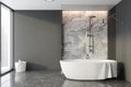Gray and marble bathroom, shower and tub Royalty Free Stock Photo