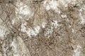 Gray marble stone texture with white spots for photo studio background Royalty Free Stock Photo