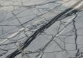 Gray marble surface with intricate black veining patterns. The texture is polished and smooth, Royalty Free Stock Photo