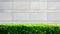 Gray marble wall in the urban.