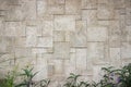 Gray marble wall with bush Royalty Free Stock Photo