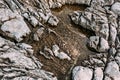 Gray massive stones. Rock texture on a rocky sea shore.