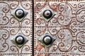 Gray metal door with wrought iron details Royalty Free Stock Photo