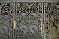 Gray metal texture of an iron fence with a forged pattern Royalty Free Stock Photo