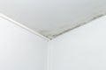 gray mold on the ceiling and walls, dampness in the house Royalty Free Stock Photo