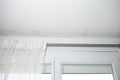 gray mold on the ceiling and walls, dampness in the house Royalty Free Stock Photo