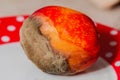 Gray mold on fresh peach