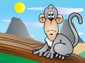 Gray monkey