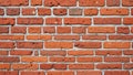 The gray mortar lines create a sharp contrast against the bricks Royalty Free Stock Photo