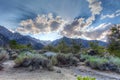 Gray Mountain area-Inyo National Forest-California. Royalty Free Stock Photo