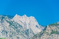 Gray mountains dotted with trees over a blue sky