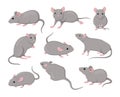 Gray mouse. Small animals. Rodents actions. Cute isolated icons set. Asian zodiac creature design drawing. Flat fur pets