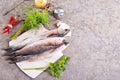 Gray Mullet Fish (Kefal) on board on a table Royalty Free Stock Photo