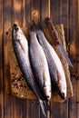Gray Mullet Fish (Kefal) on stone board Royalty Free Stock Photo