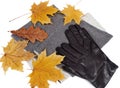 Gray neckscarf and gloves with yellow maple and oak leaves Royalty Free Stock Photo