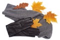 Gray neckscarf and gloves with yellow maple and oak leaves Royalty Free Stock Photo