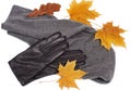 Gray neckscarf and gloves with yellow maple and oak leaves on white background Royalty Free Stock Photo