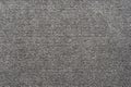 Gray Nylon Carpet Texture