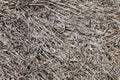 Gray old dead grass Royalty Free Stock Photo