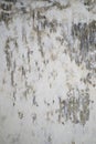 Gray old wall with layers of paint. Concrete texture. Oil paint on canvas Royalty Free Stock Photo