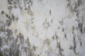 Gray old wall with layers of paint. Concrete texture. Oil paint on canvas Royalty Free Stock Photo