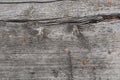 Gray old wooden board with orange mold as background