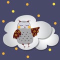 The gray owl is sleeping on the clouds