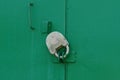 Gray padlock on the closed green metal garage door