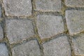 Gray Pavement - Rectangular and Small and Big Square. Seamless T