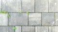 Gray pavement texture with green grass. Paving pattern road